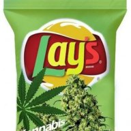 Da Jungles